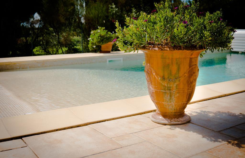 Le Clos De L'Olivade Saint-Just  Eksteriør bilde